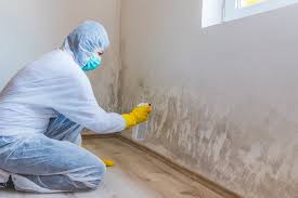 Best Black Mold Removal  in North Fort Myers, FL